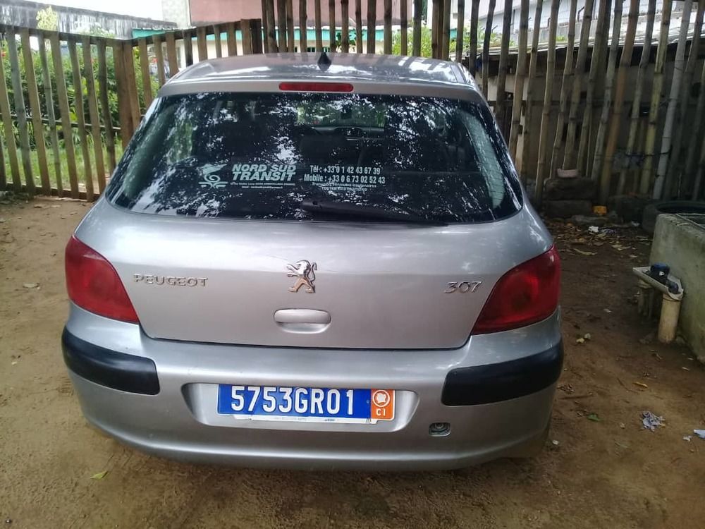 Peugeot 307 Grise
