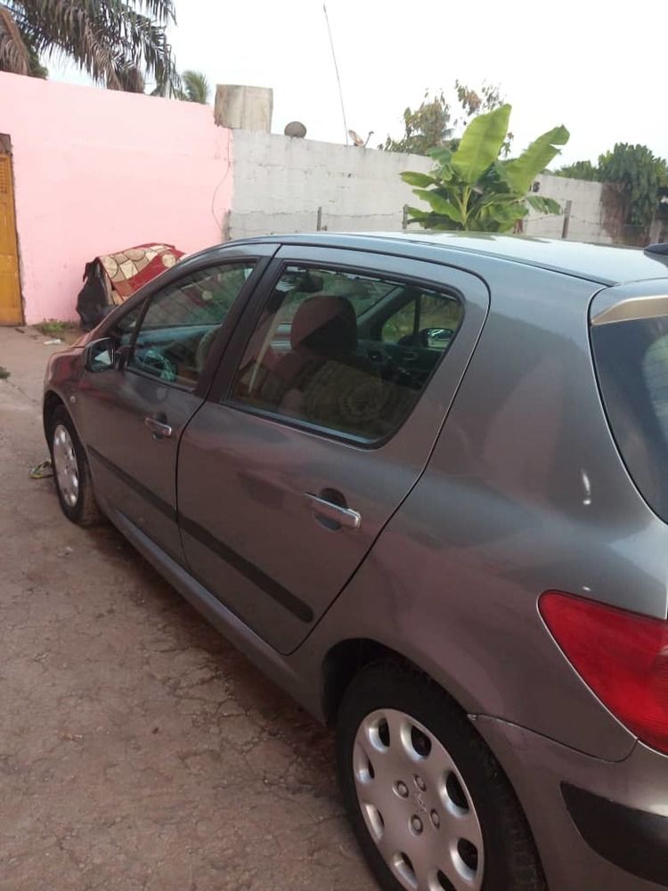 Peugeot 307 modele 2004