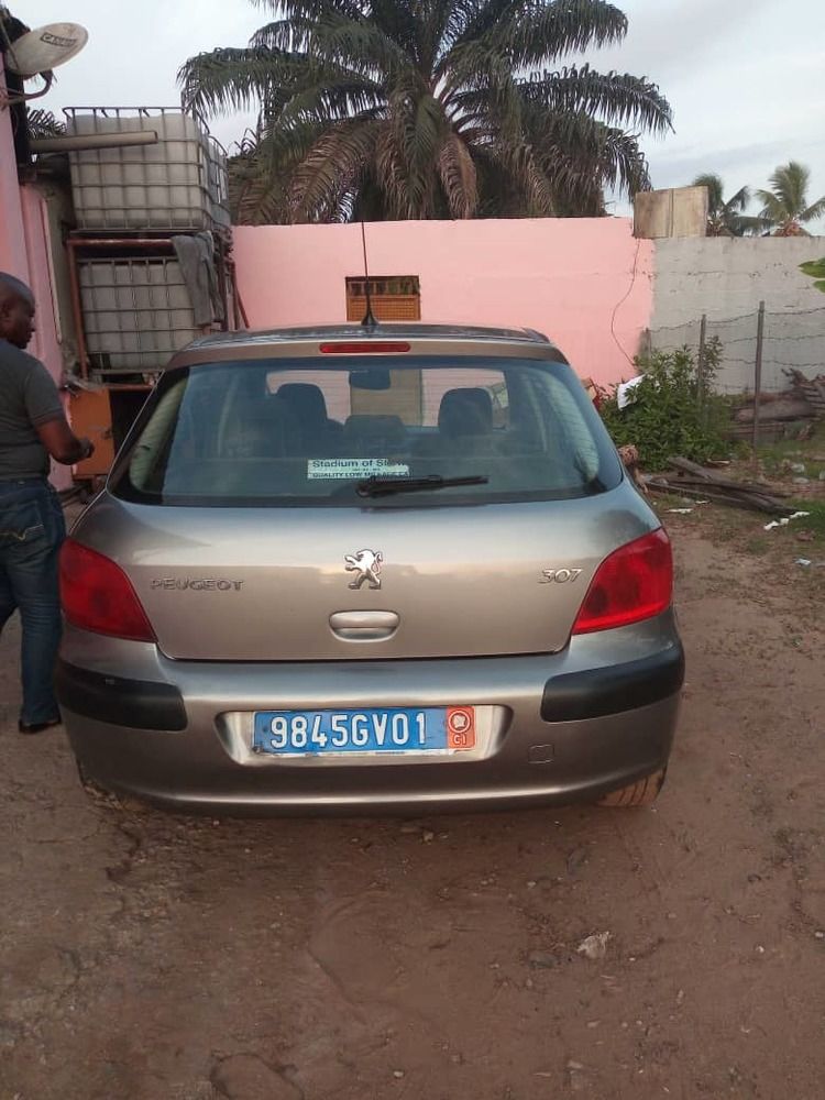 Peugeot 307 modele 2004