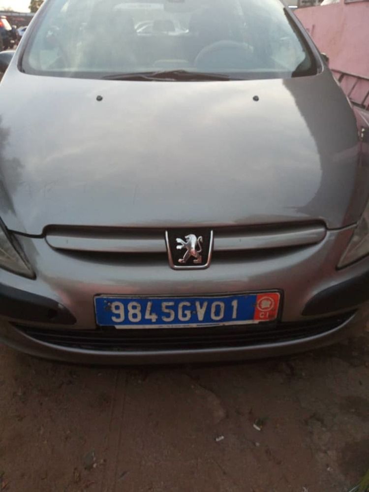 Peugeot 307 modele 2004