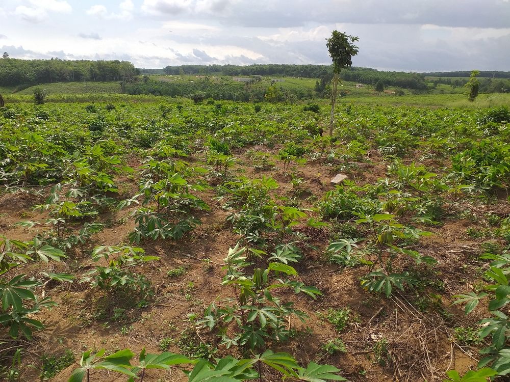 COCODY RIVIERA FAYA CITE ARTCI