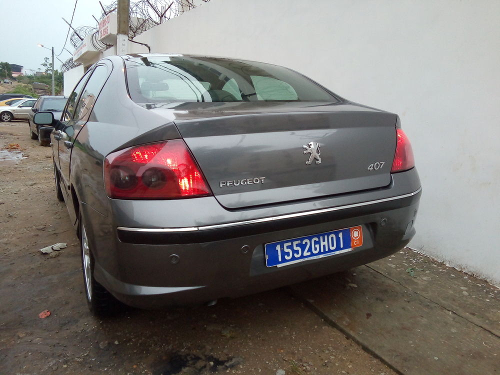 Peugeot 407 grise