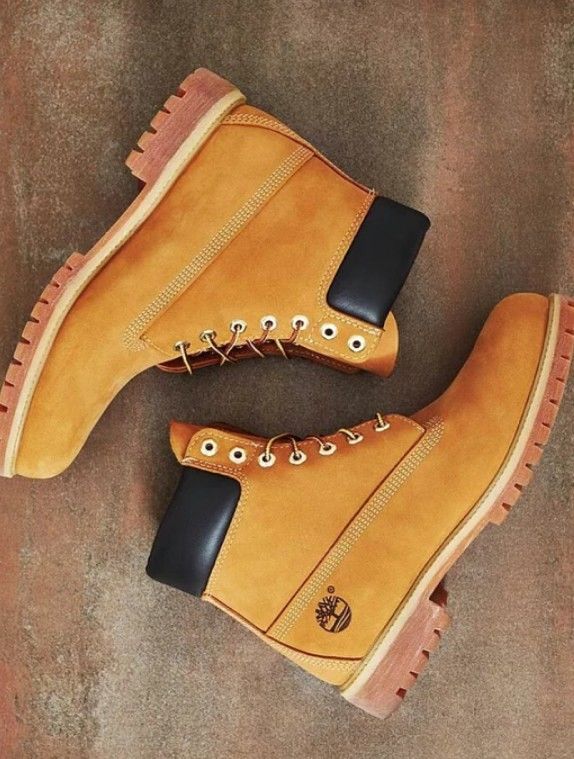 Chaussure Timberland