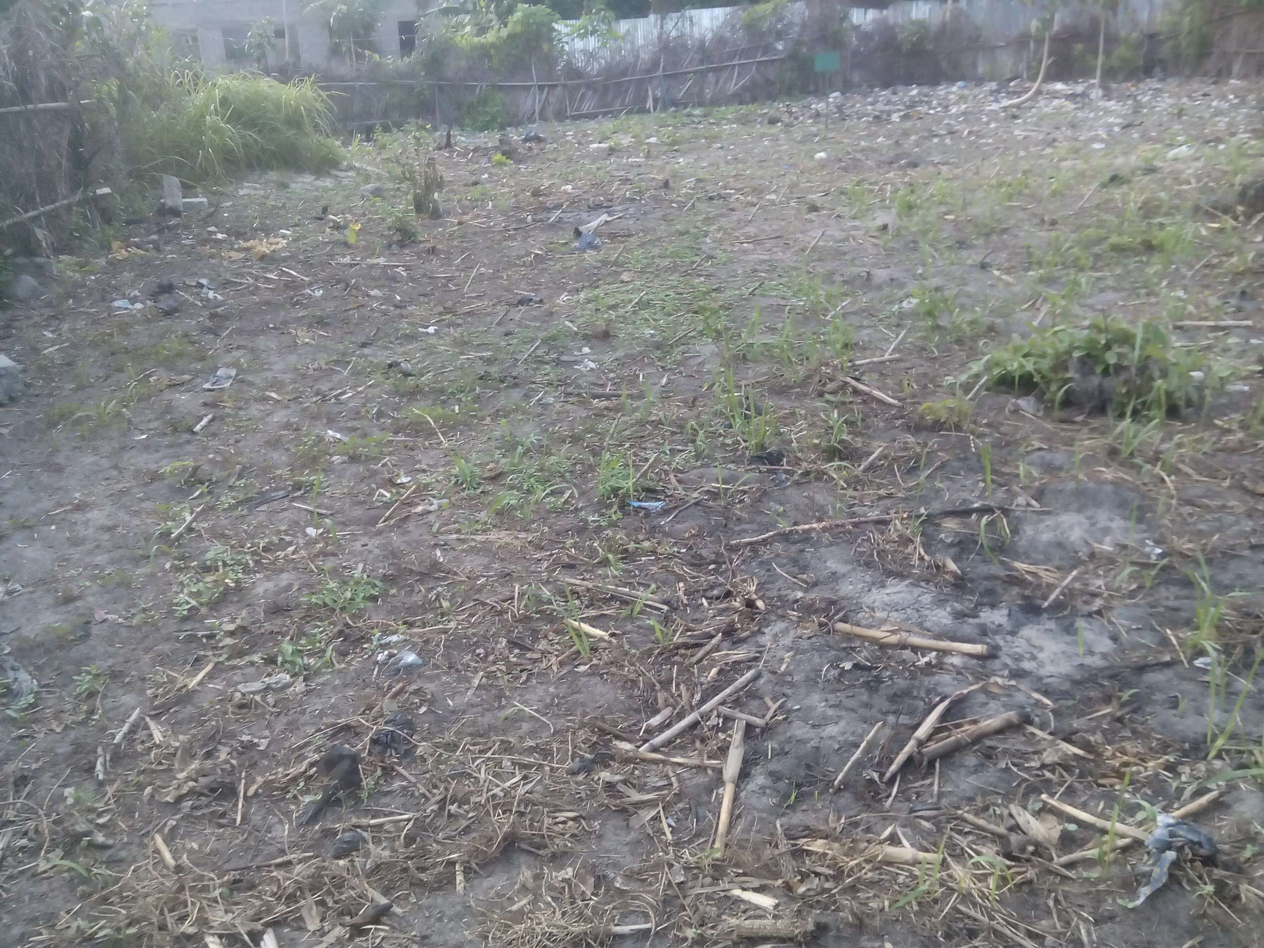 Parcelle lotie et recasée de 546 m² - Godomey