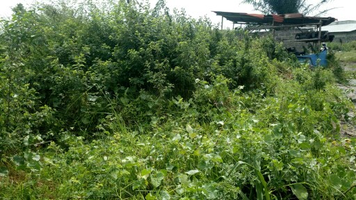 Terrain 600 m2 Abomey-Calavi Terrain 600 m2 Abomey-Calavi