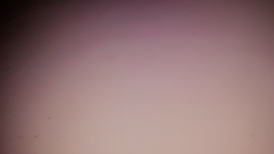 Recherche - tee-shirts couleur unique