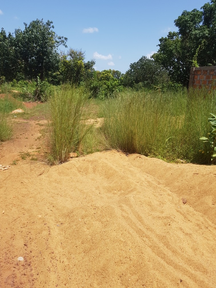 Vente terrain 3750 m² - Kankan