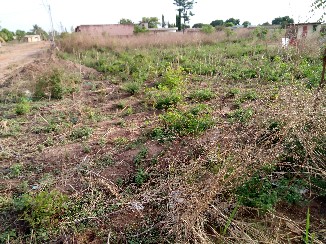Terrain 600 m2 Terrain 600 m2