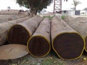 Bois en vente Bois en vente