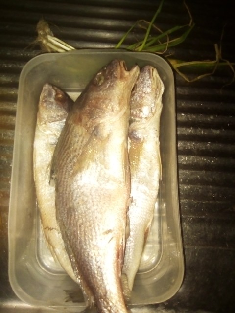 Poissons Poissons