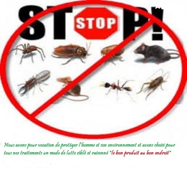 Désinsectisation - Dératisation - Traitement Phytosanitaire