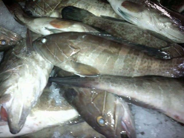 Poissons - fruits de mer