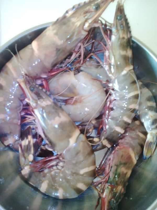 Poissons - fruits de mer