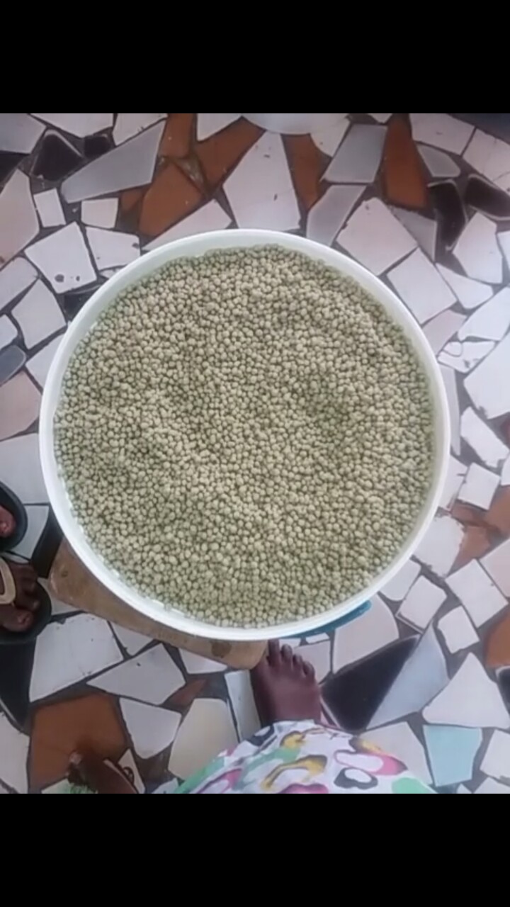 Bouillie de mil - Araw - Couscous