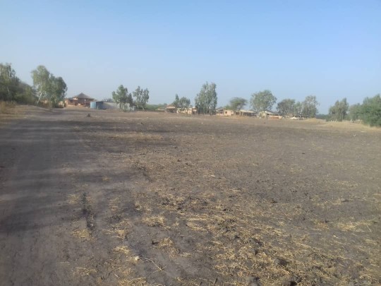 Terrain 300 m² - Pointe Sarène