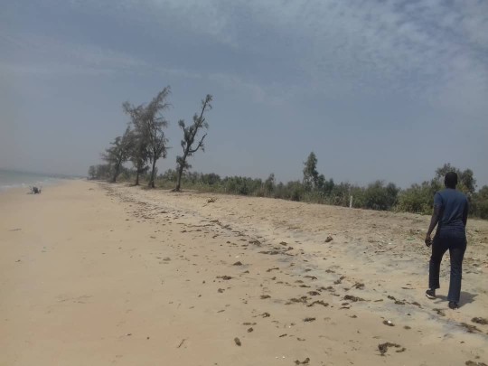 Terrain 300 m² - Pointe Sarène