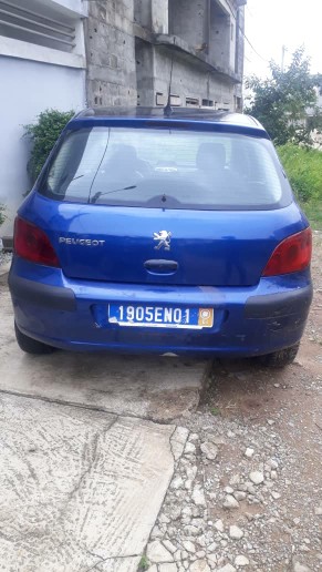 Peugeot  307