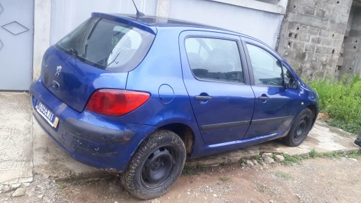 Peugeot  307
