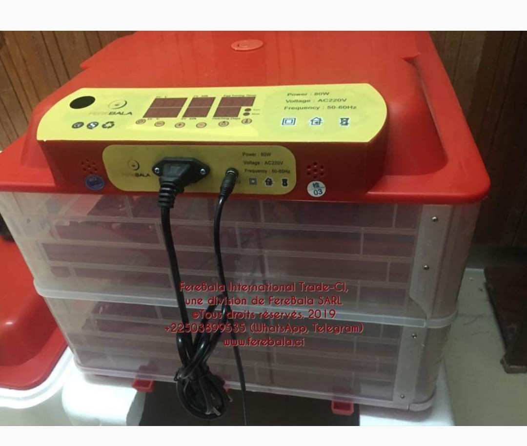 Mini incubateur Mini incubateur