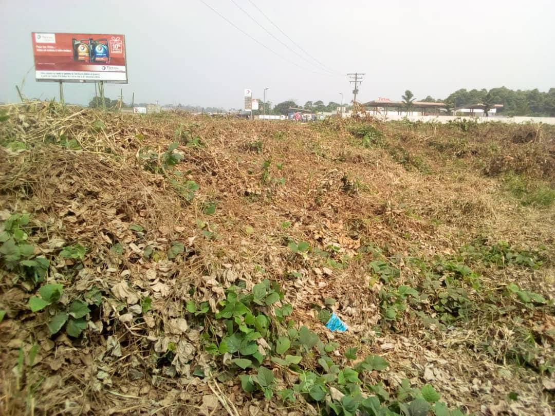 Terrain 4600 m² - Douala Terrain 4600 m² - Douala