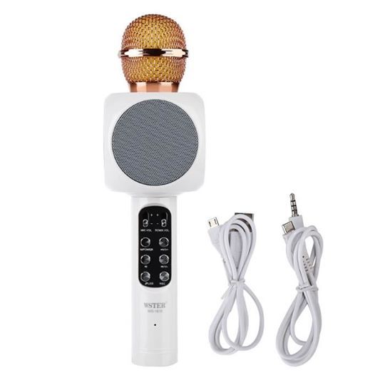 Micro Karaoké sans fil avec haut-parleur hifi