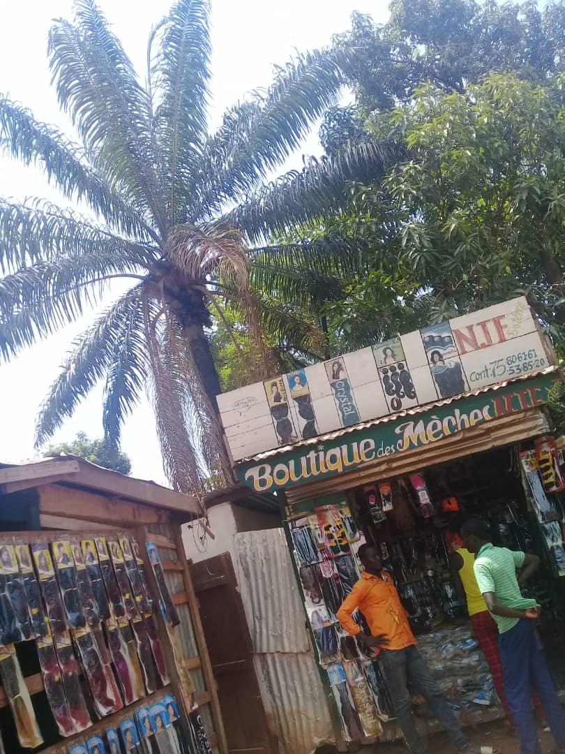 Vente de mèches et Divers de coiffure