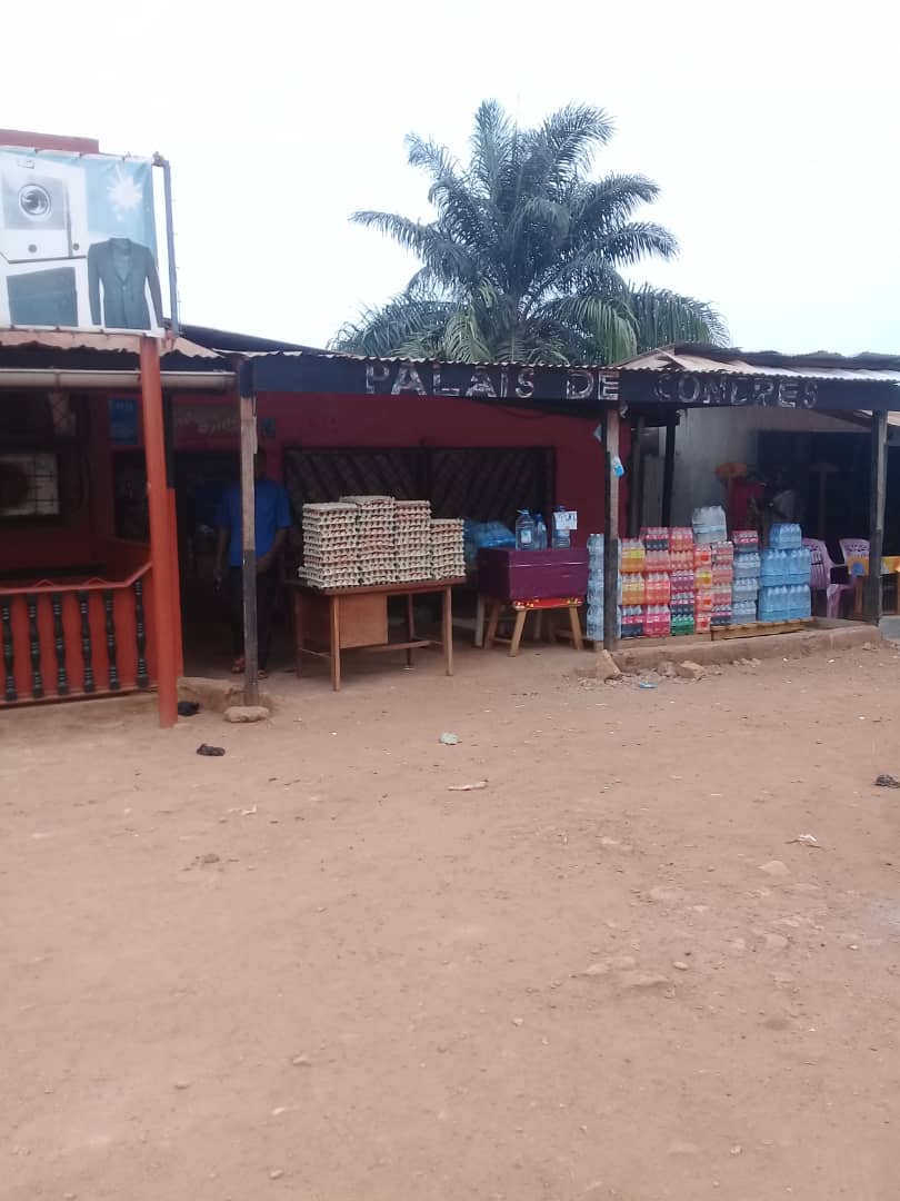 Vente des œufs et autres