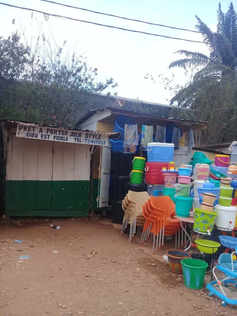 Vente des bassines plastiques