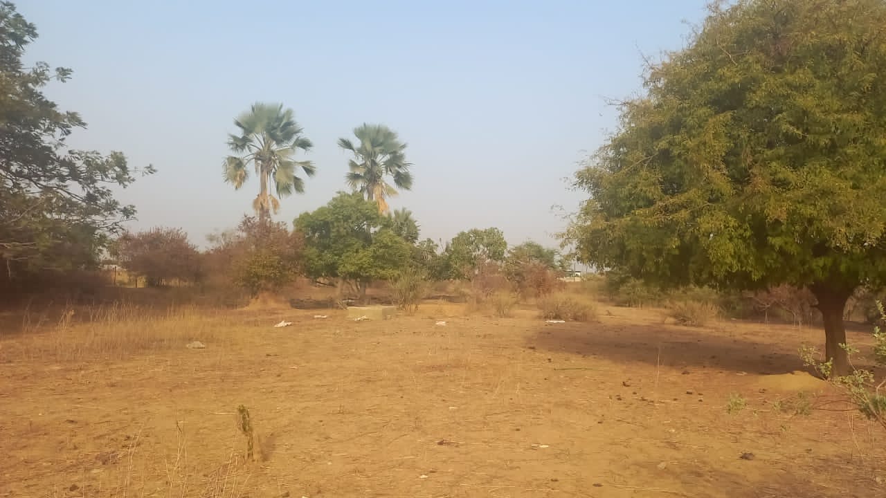 Terrain de 9500 mètres carrés délibération à Ndiourokh