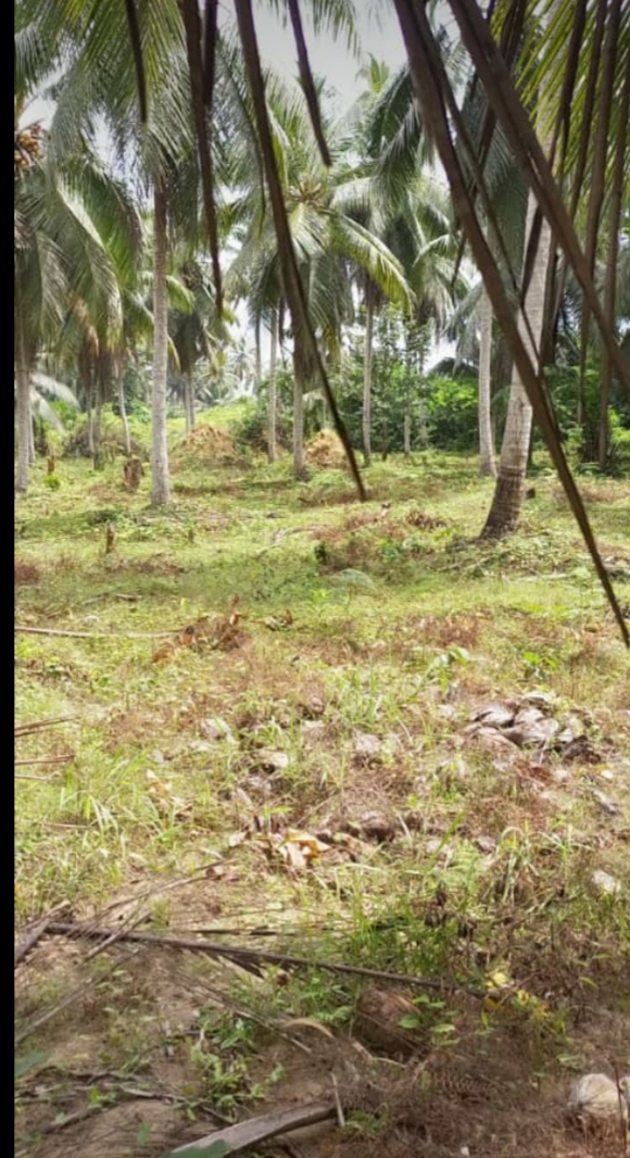 Opportunitée Jacqueville N'djem extension