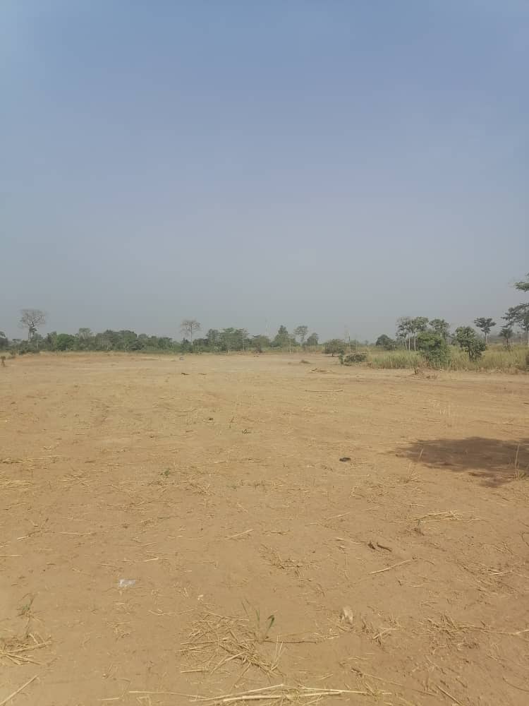 Opportunitée a Yamoussoukro Gestoci