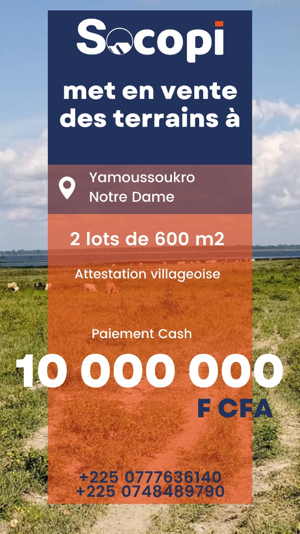 vente de 2 lots de 500 m2 Yamoussoukro notre dame