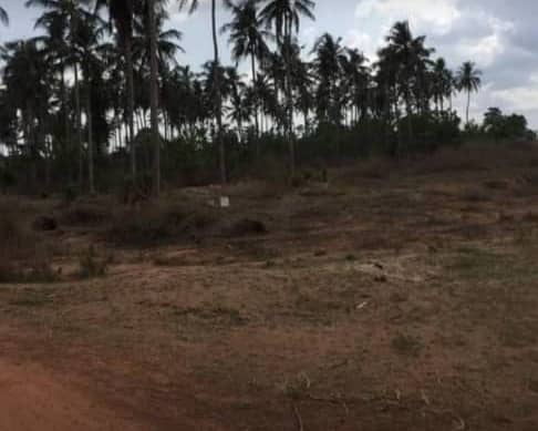 vente de 2 lots de 500 m2 Yamoussoukro notre dame