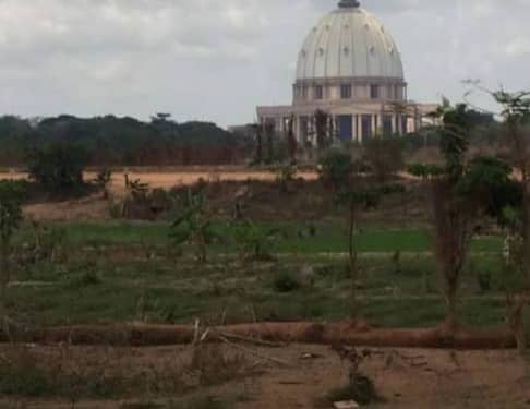 vente de 2 lots de 500 m2 Yamoussoukro notre dame