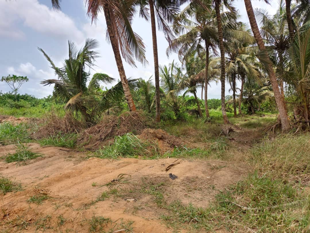 TERRAIN DE 500 M2 EN VENTE JACQUEVILLE