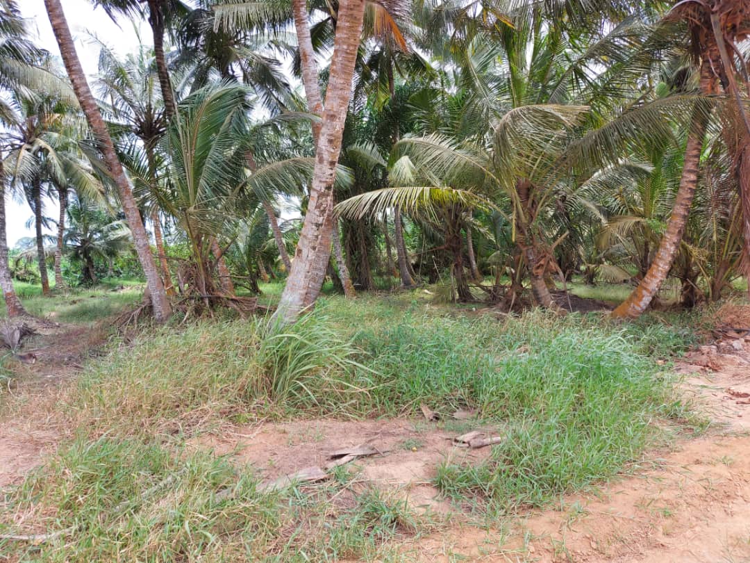 TERRAIN DE 500 M2 EN VENTE JACQUEVILLE