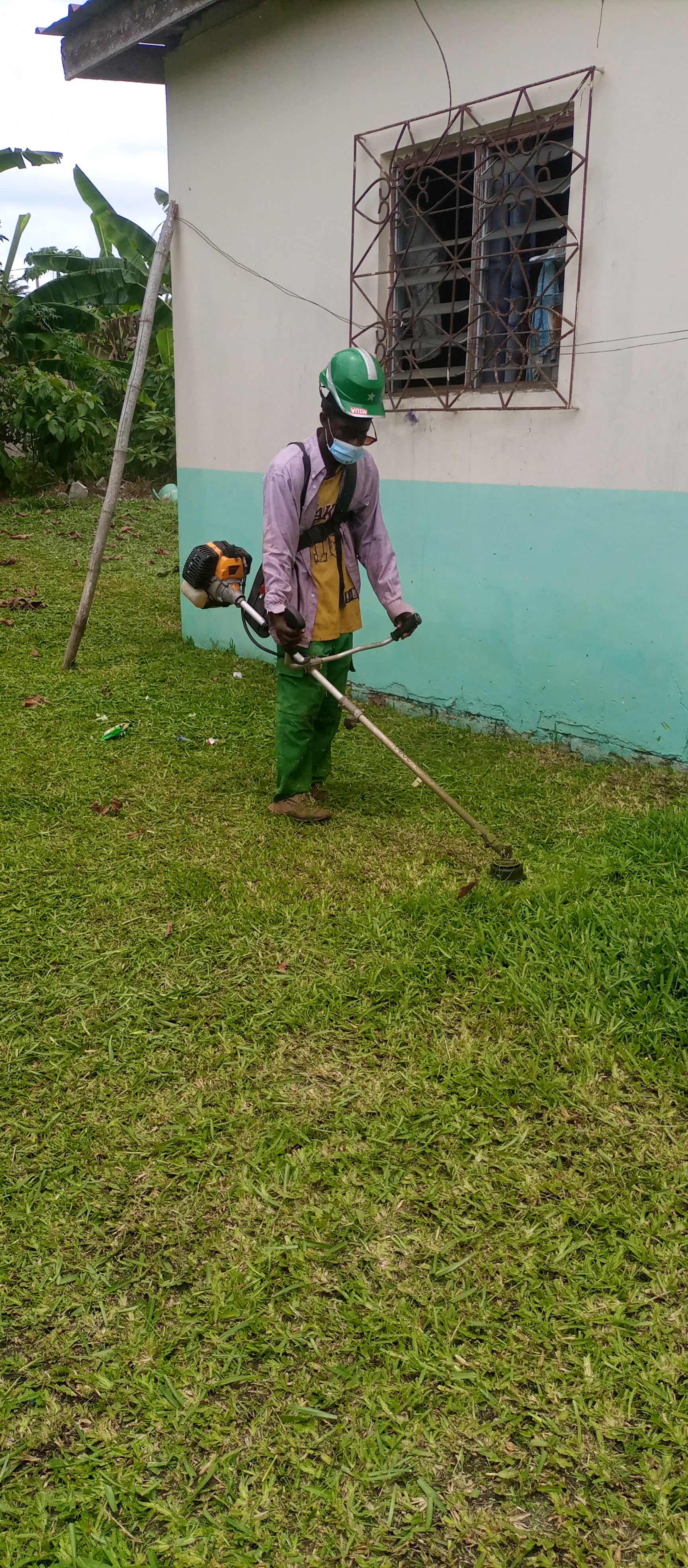 jardinage paysagistes gazon