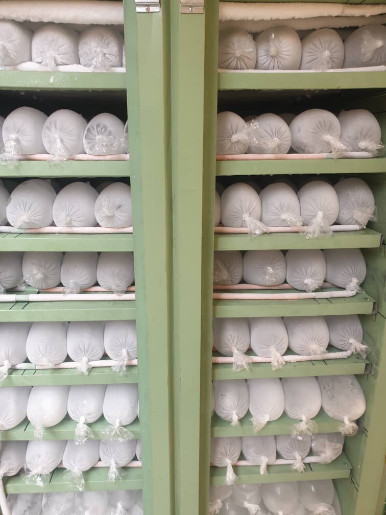 CHAMBRE FROID À GLACE