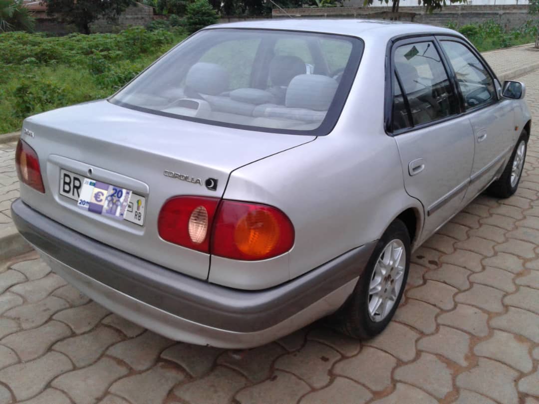 Corolla Corolla