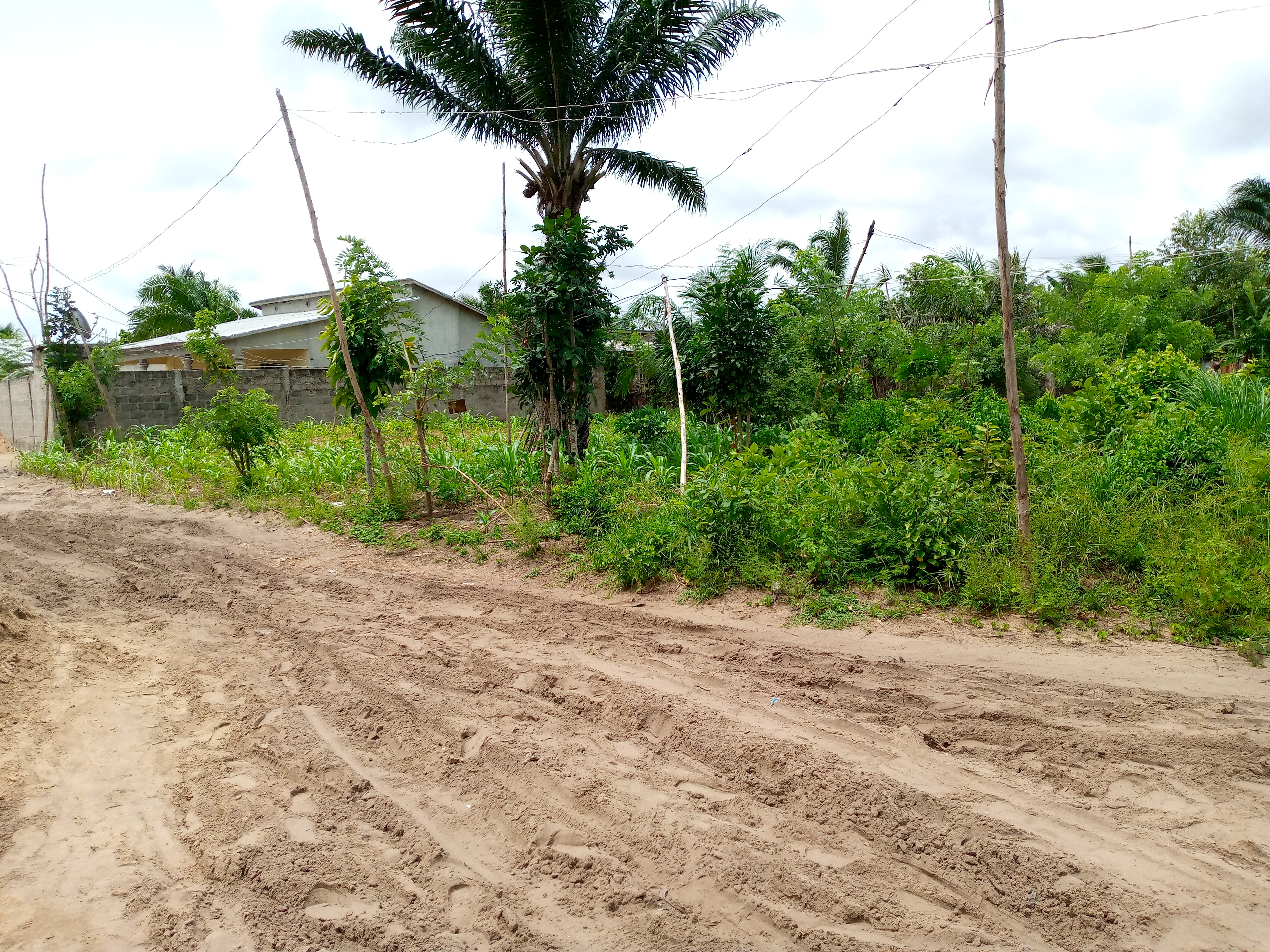 Terrain bien positionné à vendre à Ahozon /Pahou