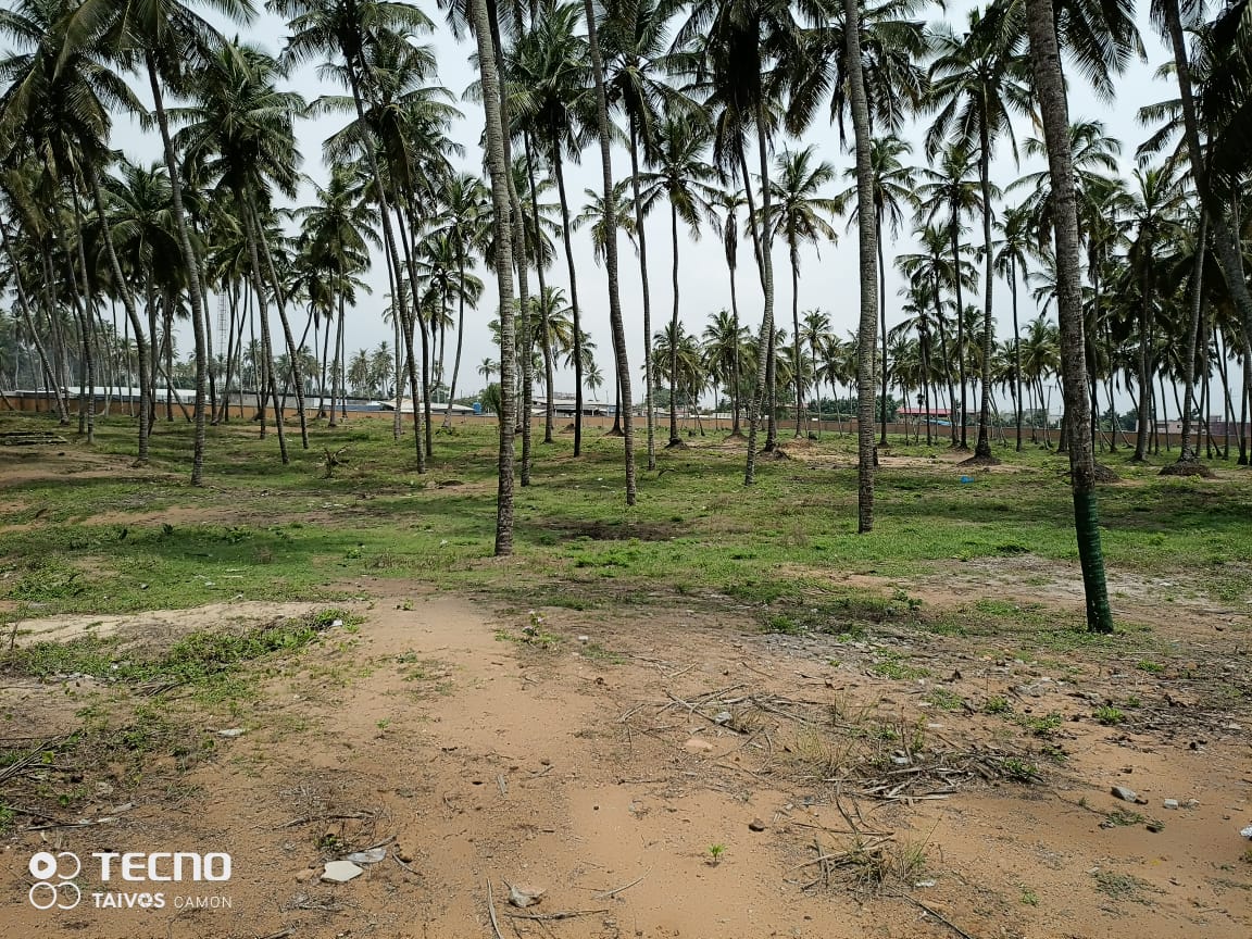 une parcelle en vente