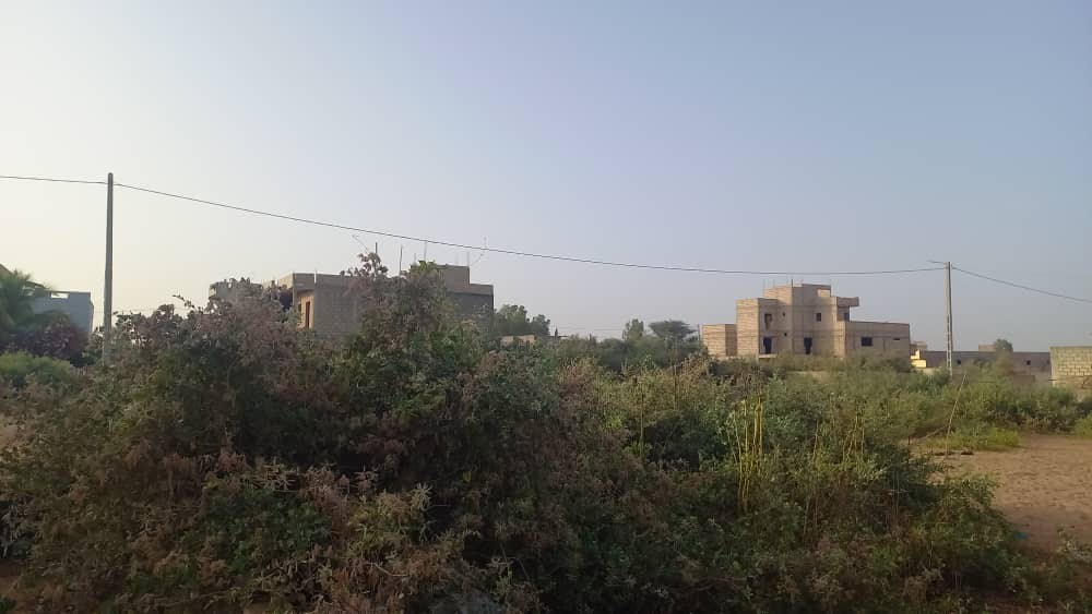 Terrain de 600 mètres carrés délibération à Saly