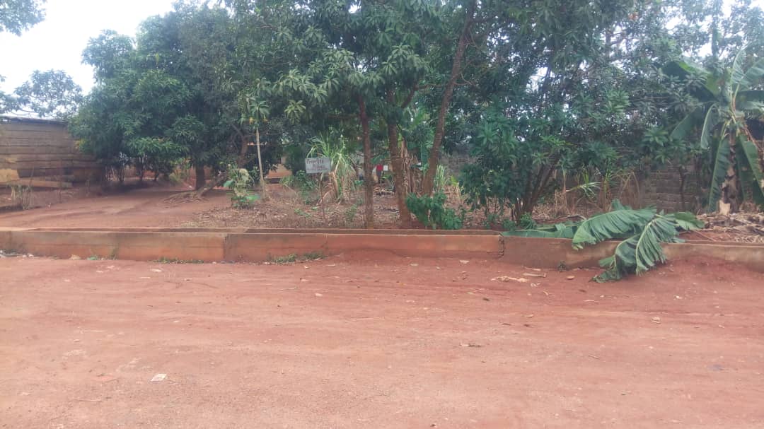 TERRAIN COMMERCIAL SOUS MAISONNETTE A VENDRE