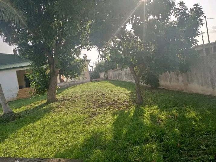 Terrain de 500m carré