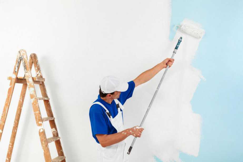 PEINTRE PROFESSIONNEL PEINTRE PROFESSIONNEL