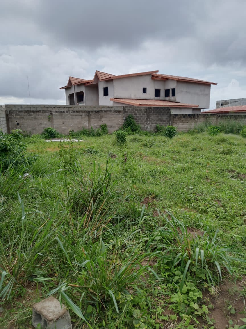 Angré nouveau chu zone colas : Terrain plat 930m2 clôture en vente Angré nouveau chu zone colas : Terrain plat 930m2 clôture en vente