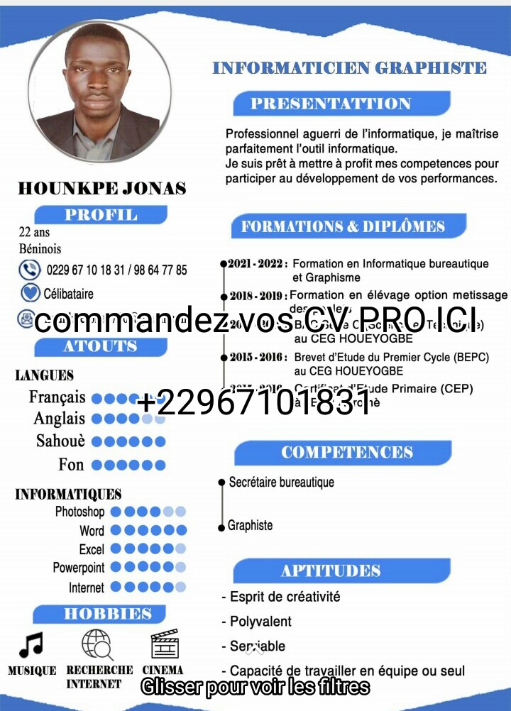 CV PROFESSIONNEL CV PROFESSIONNEL
