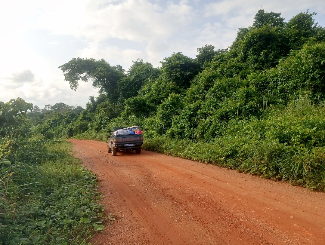 forêt à vendre à yakasseme