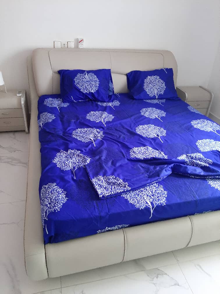appartement meublé à akpakpa cen sad appartement meublé à akpakpa cen sad