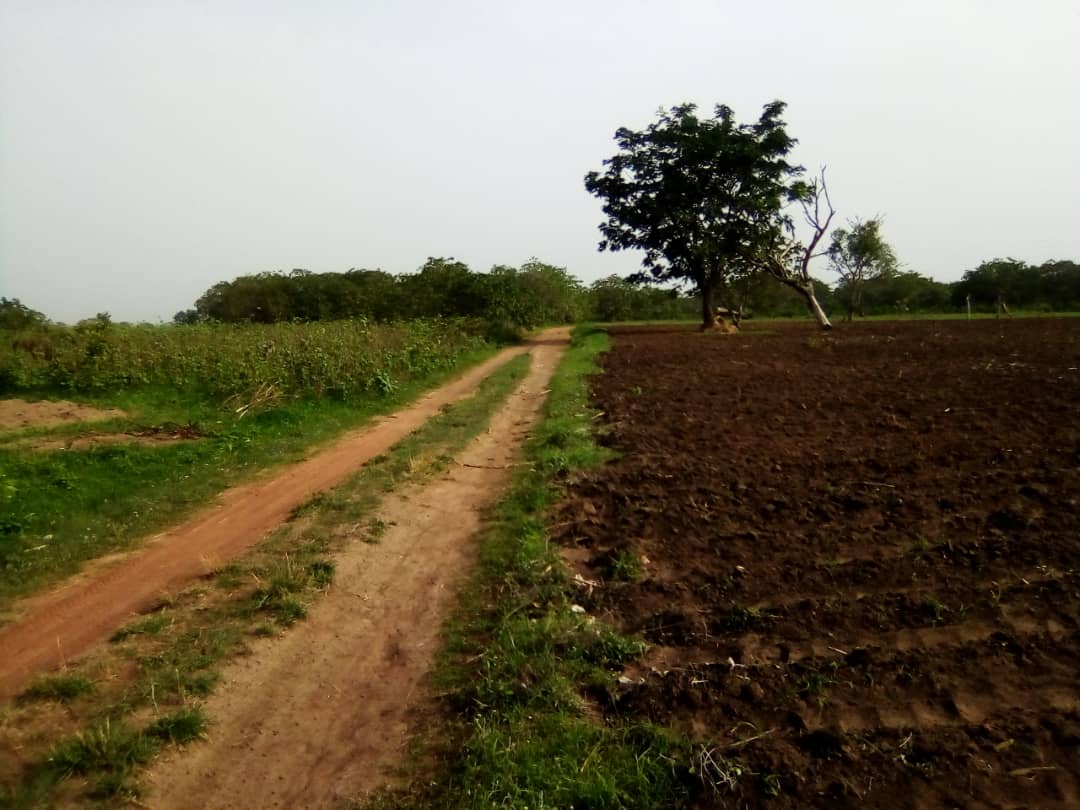 OPPORTUNITÉ HECTARES AU BÉNIN A SAVALOU OPPORTUNITÉ HECTARES AU BÉNIN A SAVALOU